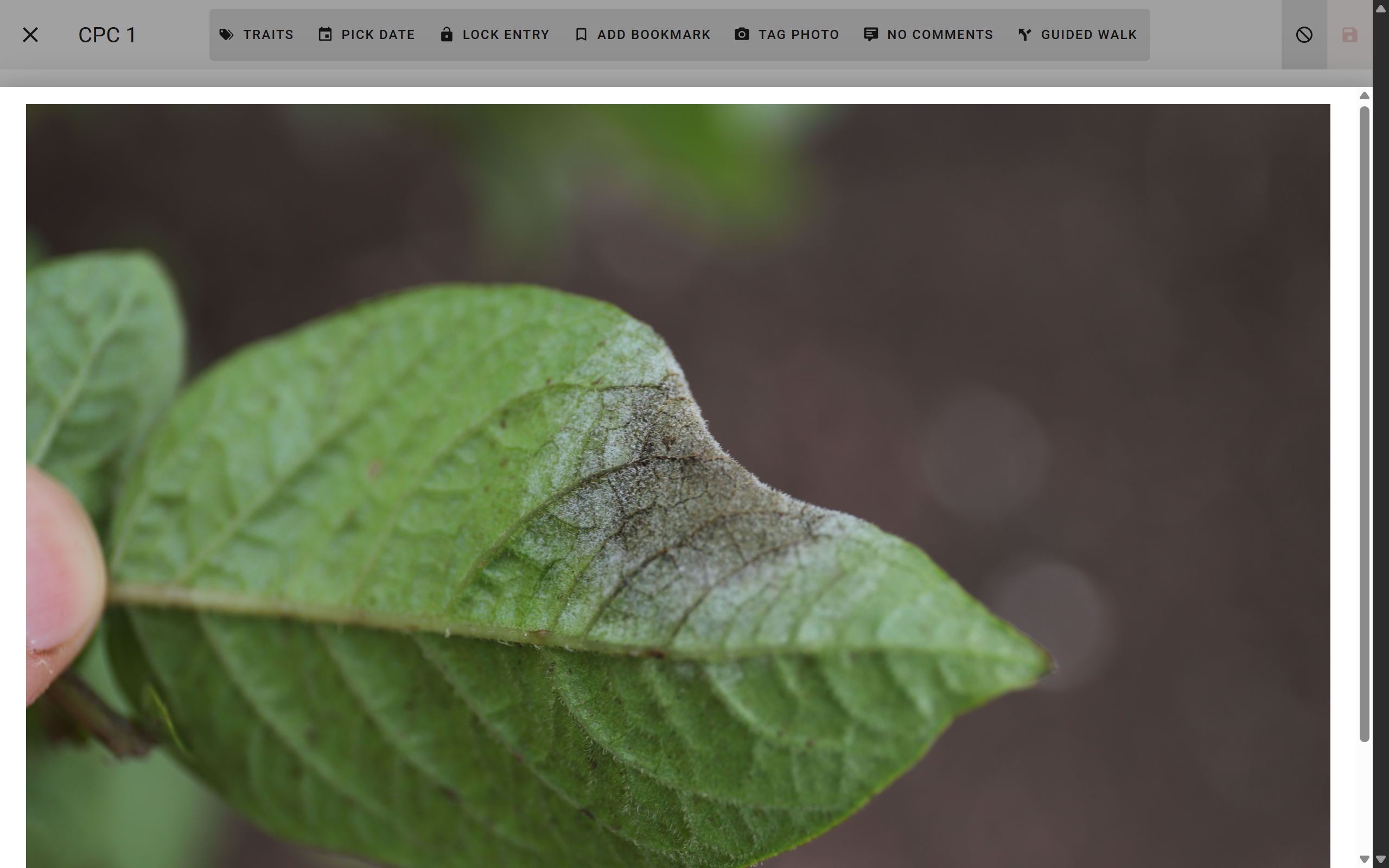 Add reference image to trial