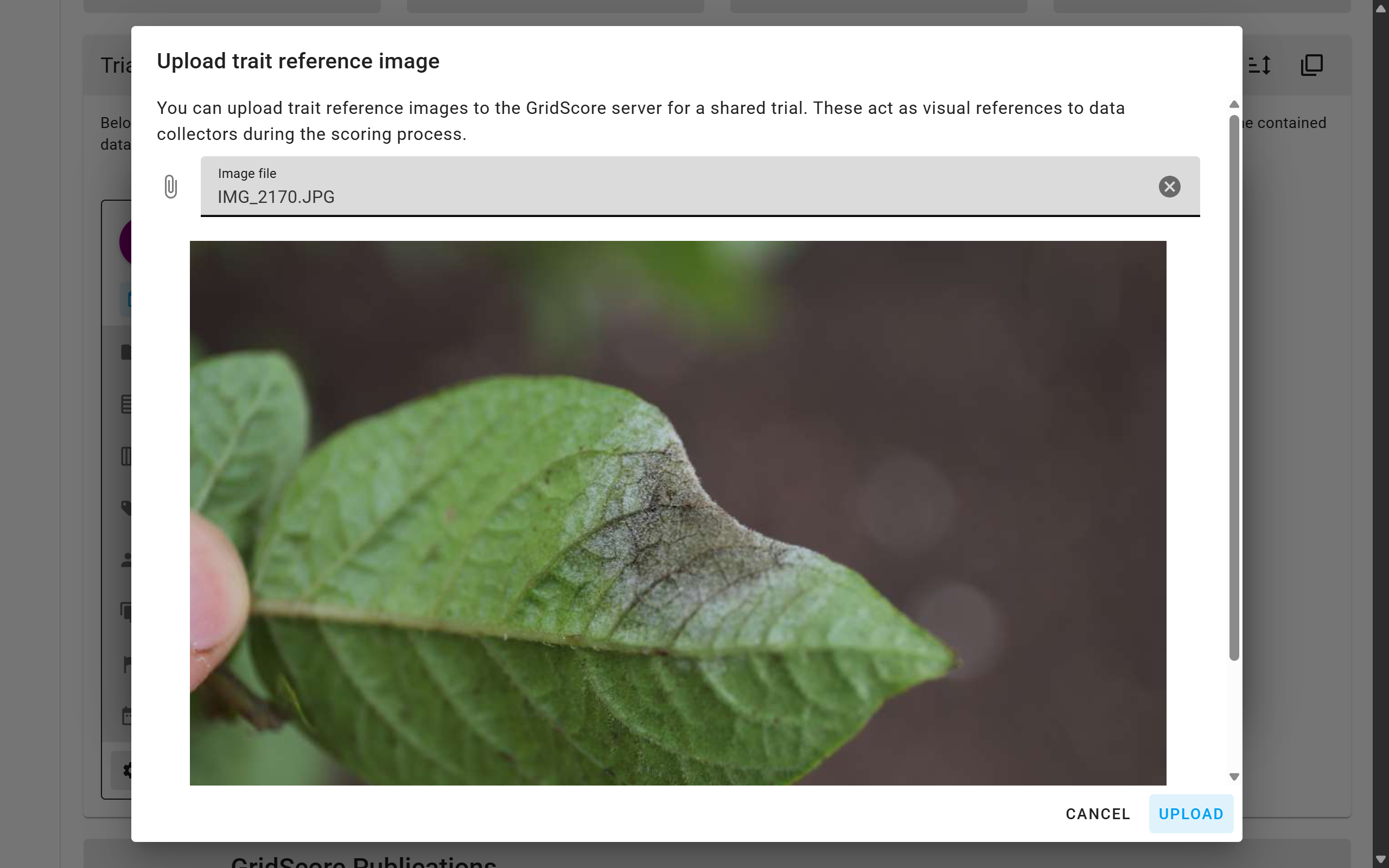 Add reference image to trial