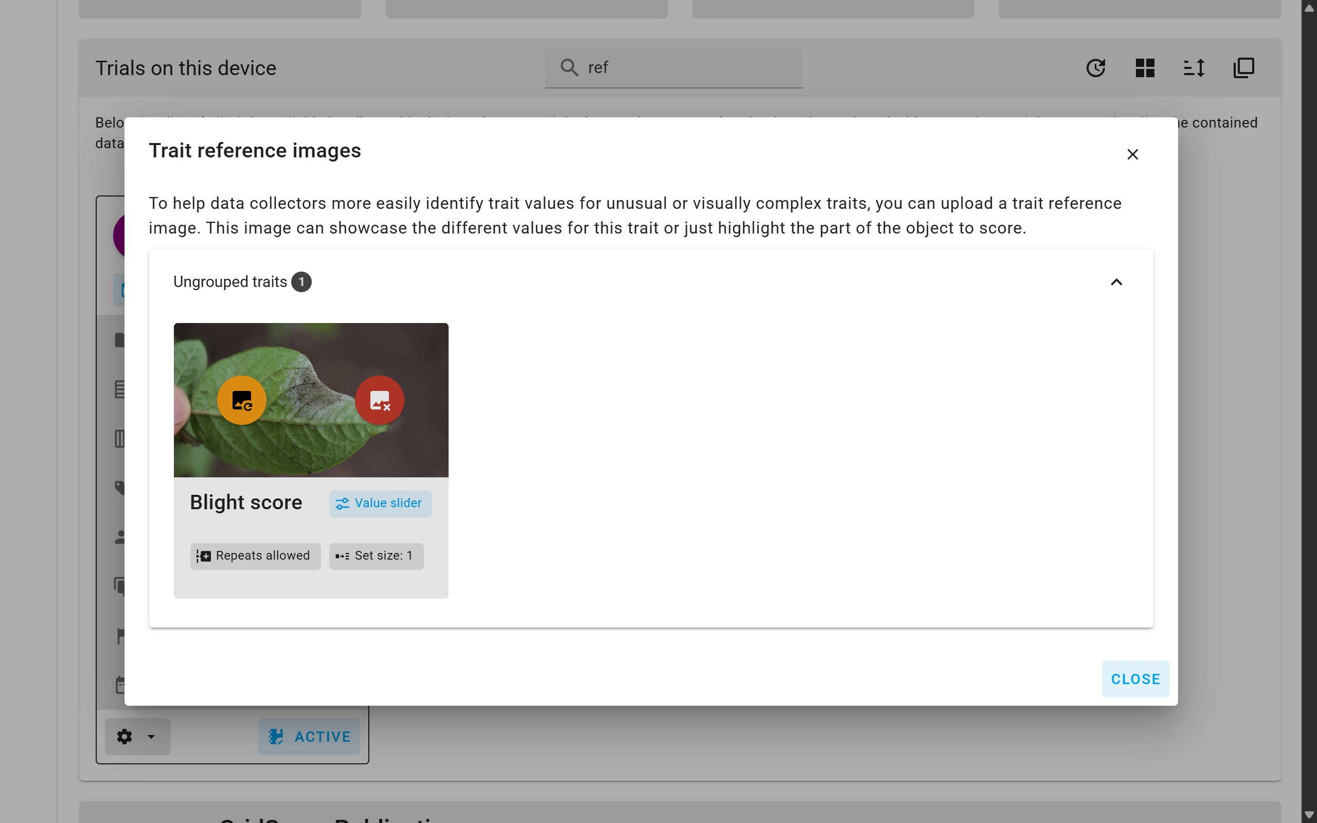Add reference image to trial